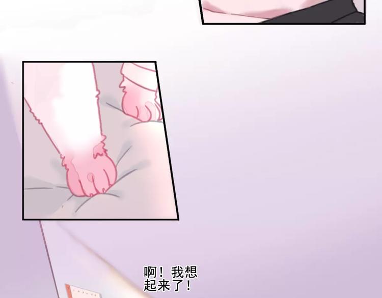 社会喵韩漫全集-第1话 从天而降的萌宠无删减无遮挡章节图片 