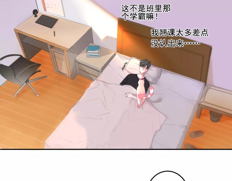 社会喵韩漫全集-第1话 从天而降的萌宠无删减无遮挡章节图片 
