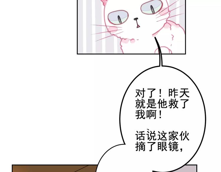 社会喵韩漫全集-第1话 从天而降的萌宠无删减无遮挡章节图片 
