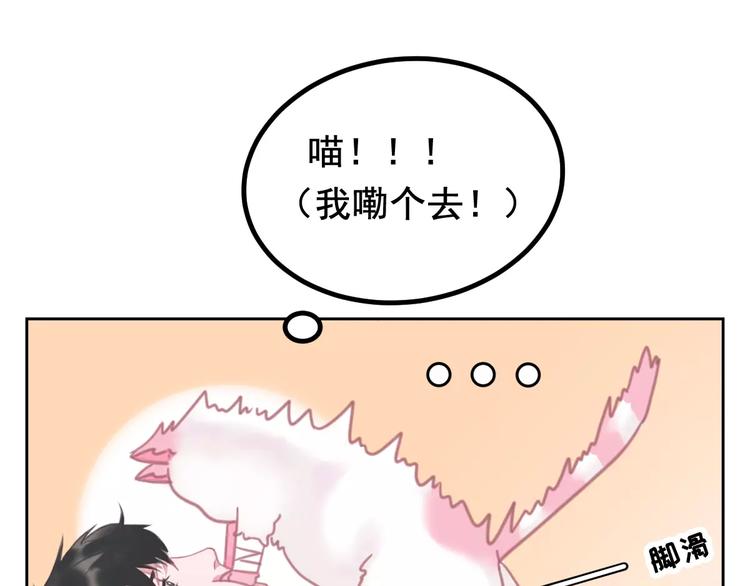 社会喵韩漫全集-第1话 从天而降的萌宠无删减无遮挡章节图片 