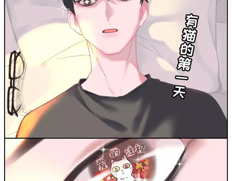社会喵韩漫全集-第1话 从天而降的萌宠无删减无遮挡章节图片 