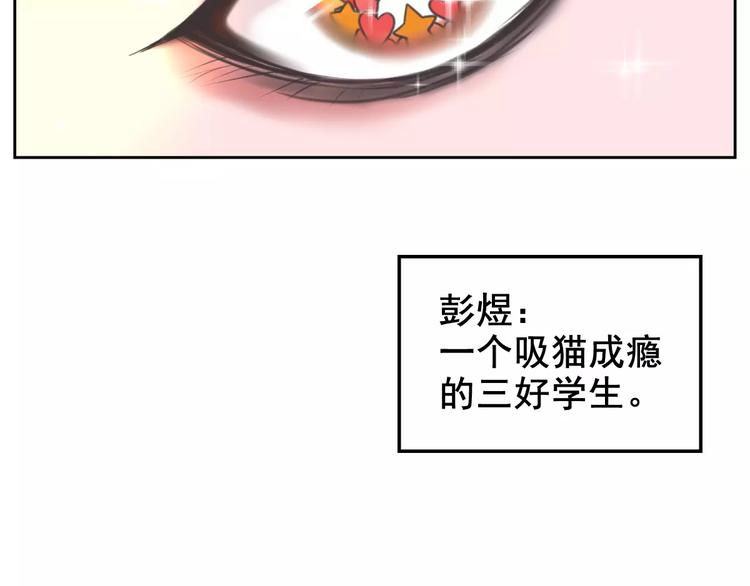 社会喵韩漫全集-第1话 从天而降的萌宠无删减无遮挡章节图片 