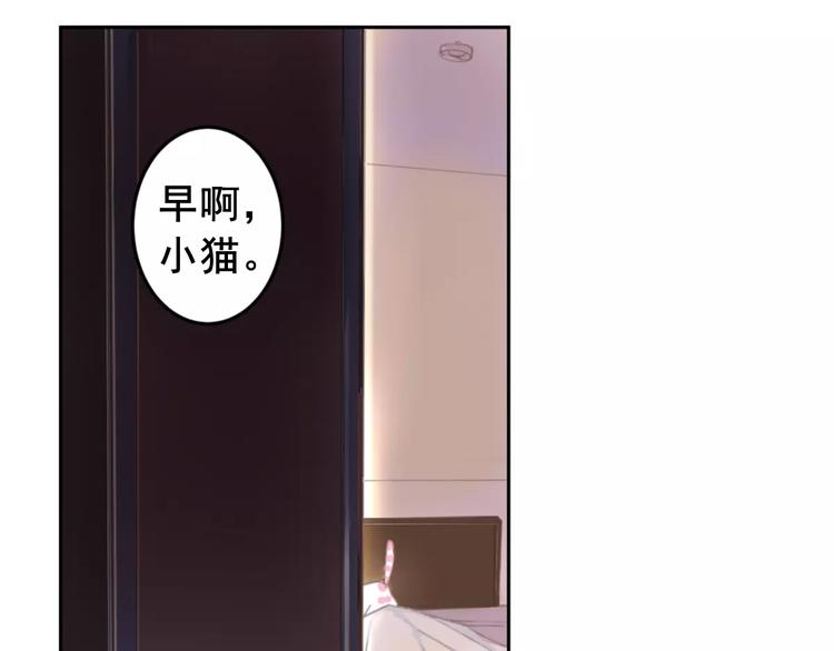 社会喵韩漫全集-第1话 从天而降的萌宠无删减无遮挡章节图片 