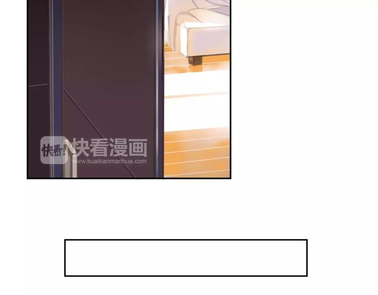 社会喵韩漫全集-第1话 从天而降的萌宠无删减无遮挡章节图片 