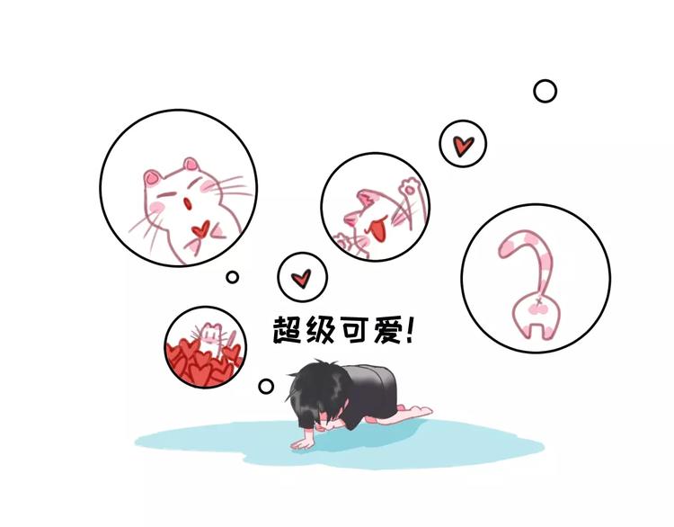 社会喵韩漫全集-第1话 从天而降的萌宠无删减无遮挡章节图片 