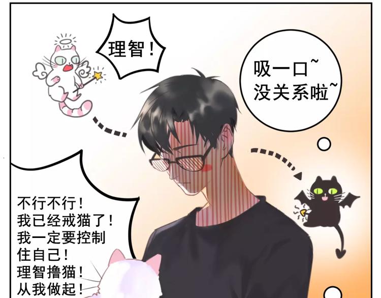 社会喵韩漫全集-第1话 从天而降的萌宠无删减无遮挡章节图片 