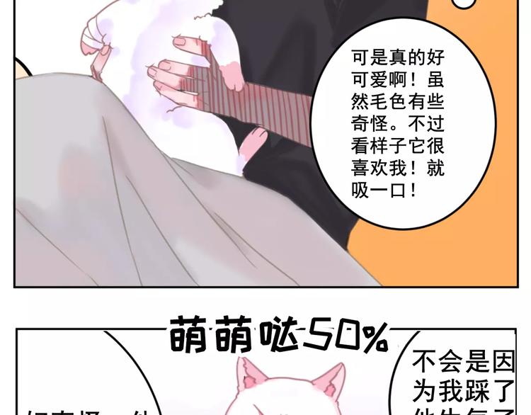 社会喵韩漫全集-第1话 从天而降的萌宠无删减无遮挡章节图片 