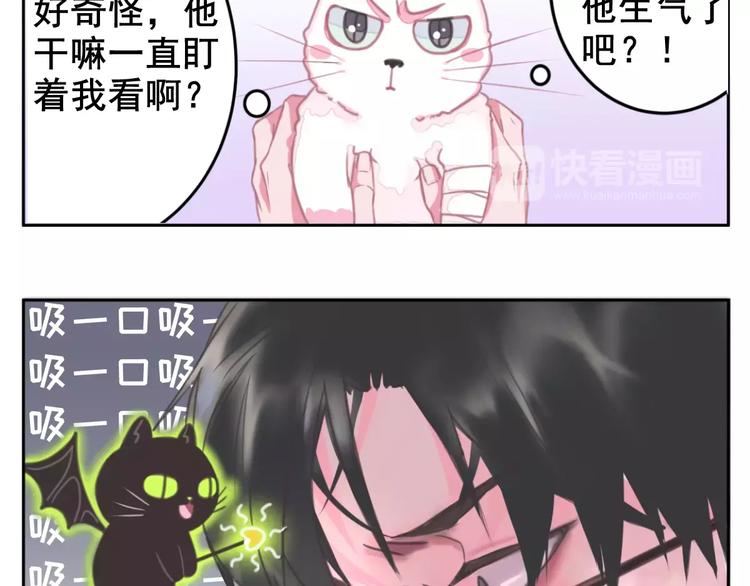 社会喵韩漫全集-第1话 从天而降的萌宠无删减无遮挡章节图片 