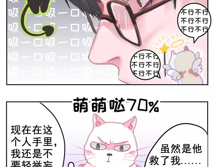社会喵韩漫全集-第1话 从天而降的萌宠无删减无遮挡章节图片 