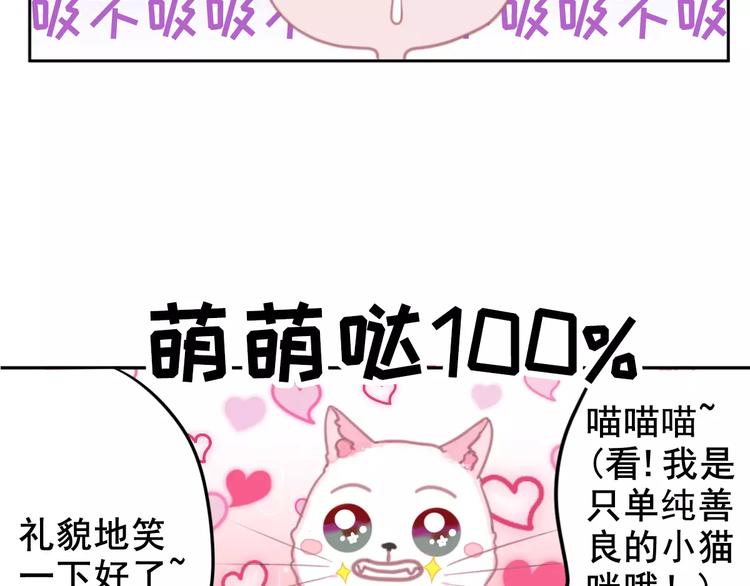 社会喵韩漫全集-第1话 从天而降的萌宠无删减无遮挡章节图片 