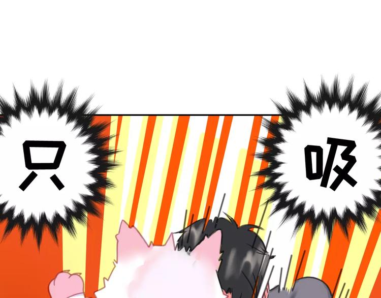 社会喵韩漫全集-第1话 从天而降的萌宠无删减无遮挡章节图片 