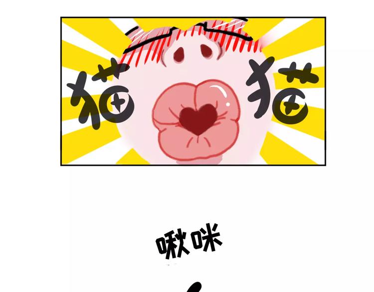 社会喵韩漫全集-第1话 从天而降的萌宠无删减无遮挡章节图片 