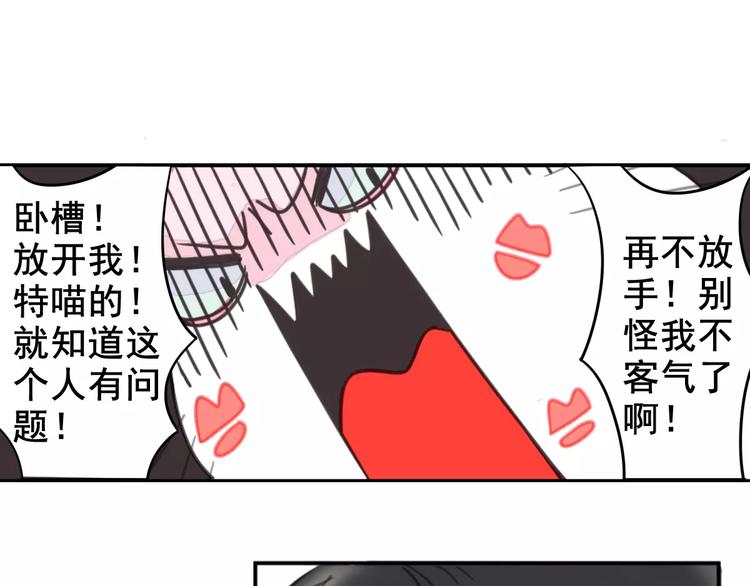 社会喵韩漫全集-第1话 从天而降的萌宠无删减无遮挡章节图片 