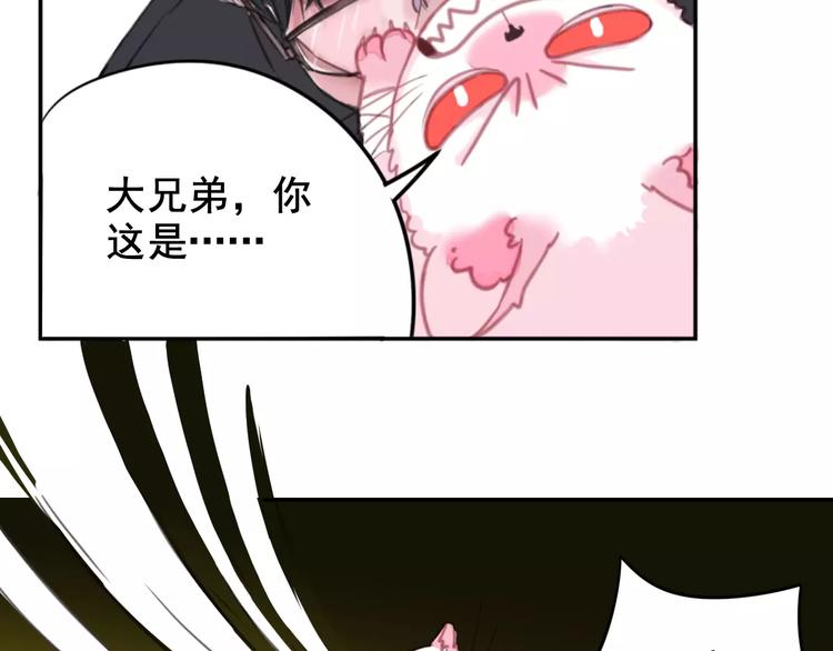 社会喵韩漫全集-第1话 从天而降的萌宠无删减无遮挡章节图片 