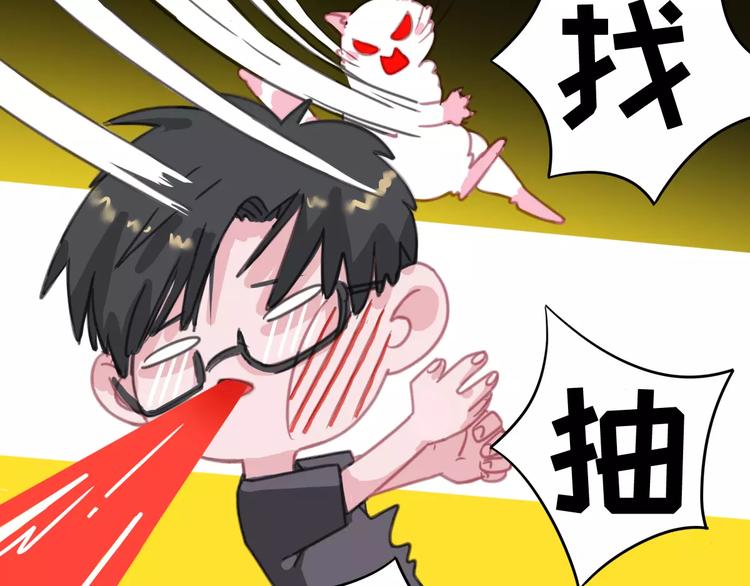 社会喵韩漫全集-第1话 从天而降的萌宠无删减无遮挡章节图片 