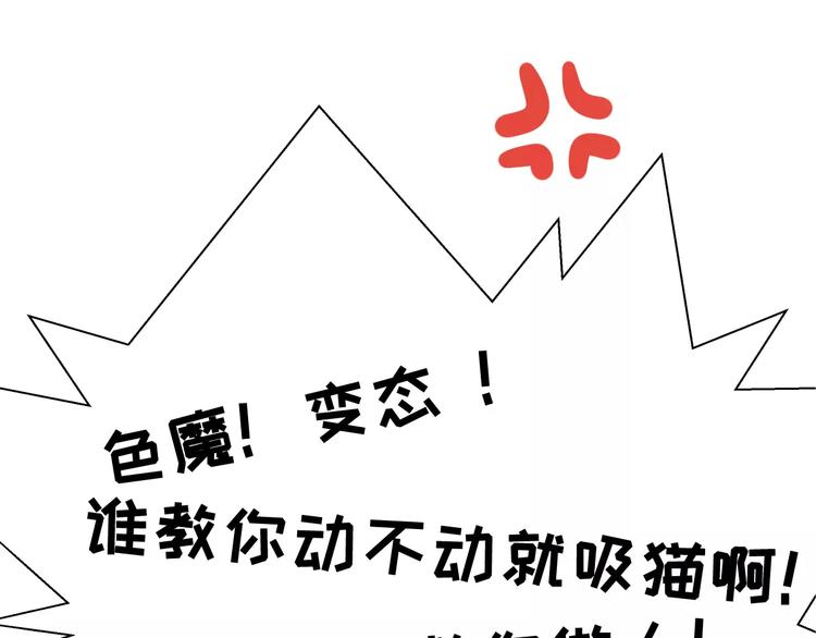 社会喵韩漫全集-第1话 从天而降的萌宠无删减无遮挡章节图片 