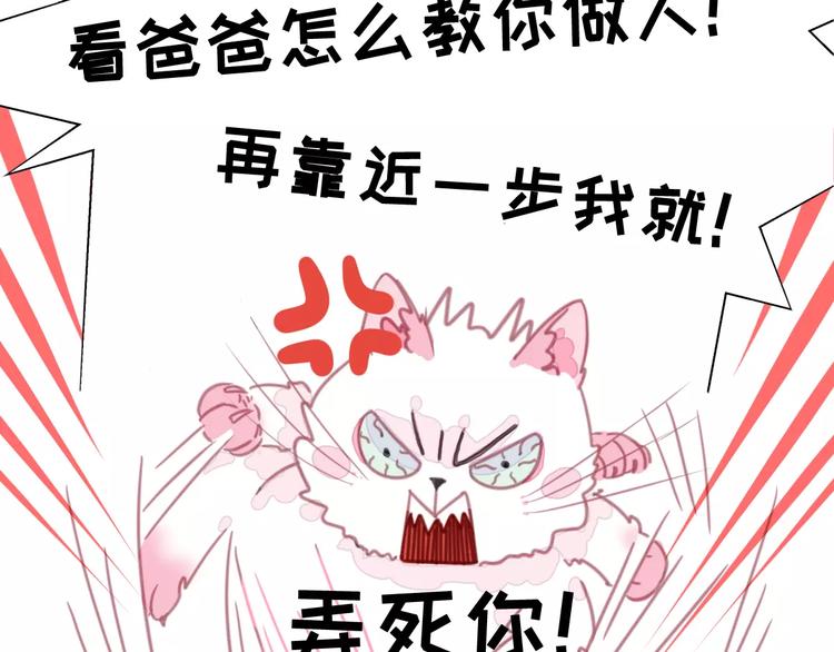 社会喵韩漫全集-第1话 从天而降的萌宠无删减无遮挡章节图片 