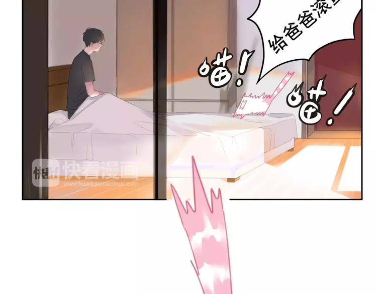 社会喵韩漫全集-第1话 从天而降的萌宠无删减无遮挡章节图片 