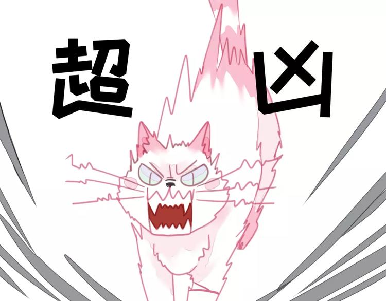 社会喵韩漫全集-第1话 从天而降的萌宠无删减无遮挡章节图片 