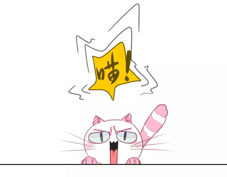 社会喵韩漫全集-第1话 从天而降的萌宠无删减无遮挡章节图片 