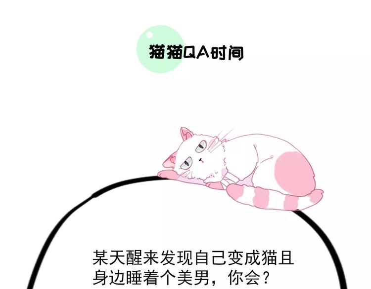 社会喵韩漫全集-第1话 从天而降的萌宠无删减无遮挡章节图片 