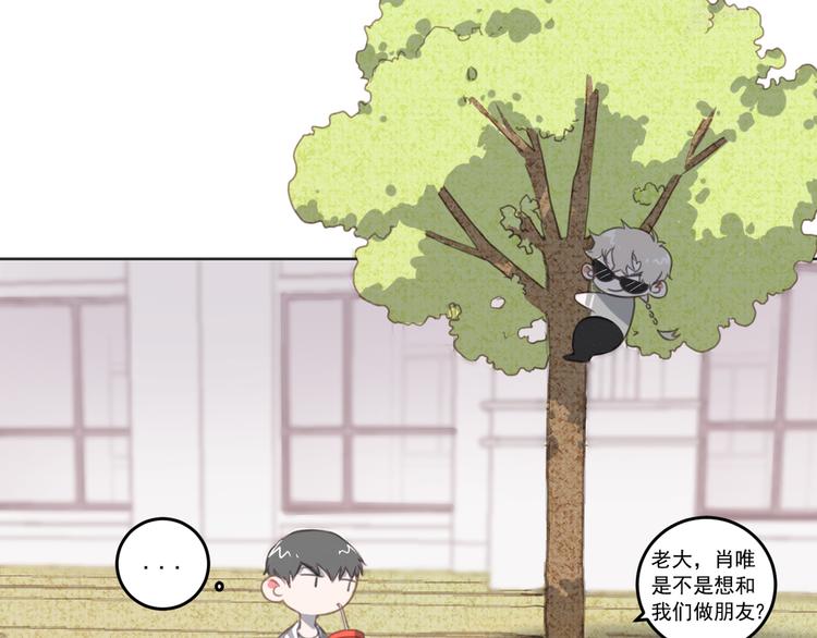 社会喵韩漫全集-第11话 我的猫耳？！无删减无遮挡章节图片 