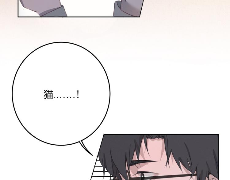 社会喵韩漫全集-第11话 我的猫耳？！无删减无遮挡章节图片 