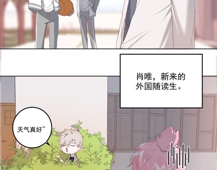 社会喵韩漫全集-第11话 我的猫耳？！无删减无遮挡章节图片 
