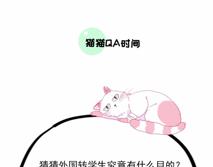 社会喵韩漫全集-第11话 我的猫耳？！无删减无遮挡章节图片 