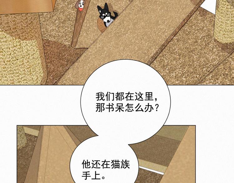 社会喵韩漫全集-第60话 过去的风花雪月无删减无遮挡章节图片 
