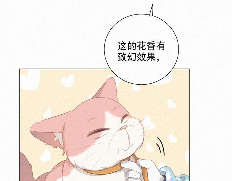 社会喵韩漫全集-第60话 过去的风花雪月无删减无遮挡章节图片 