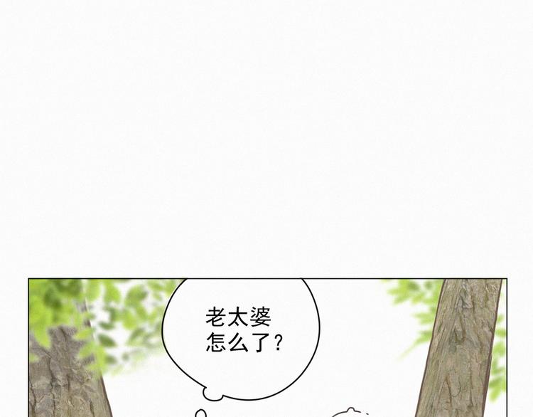 社会喵韩漫全集-第62话 年少绮梦镜花水月无删减无遮挡章节图片 