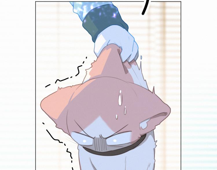 社会喵韩漫全集-第65话 绾青丝无删减无遮挡章节图片 