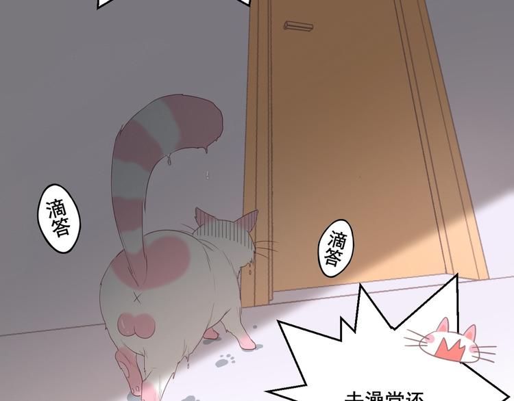 社会喵韩漫全集-第12话 怀中抱猫无删减无遮挡章节图片 
