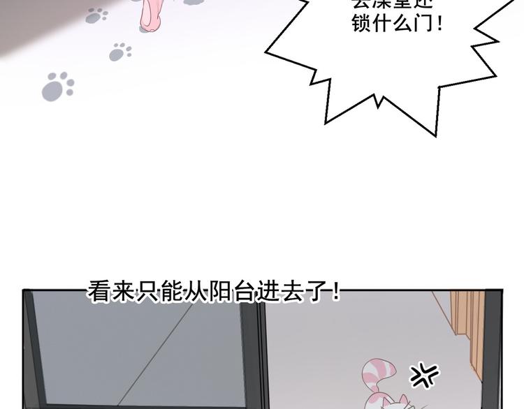 社会喵韩漫全集-第12话 怀中抱猫无删减无遮挡章节图片 