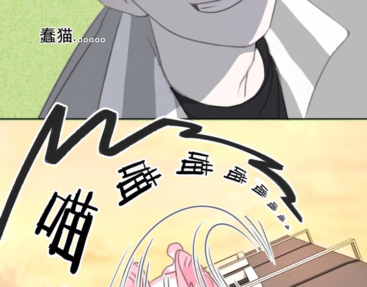 社会喵韩漫全集-第12话 怀中抱猫无删减无遮挡章节图片 