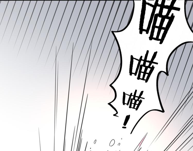 社会喵韩漫全集-第12话 怀中抱猫无删减无遮挡章节图片 