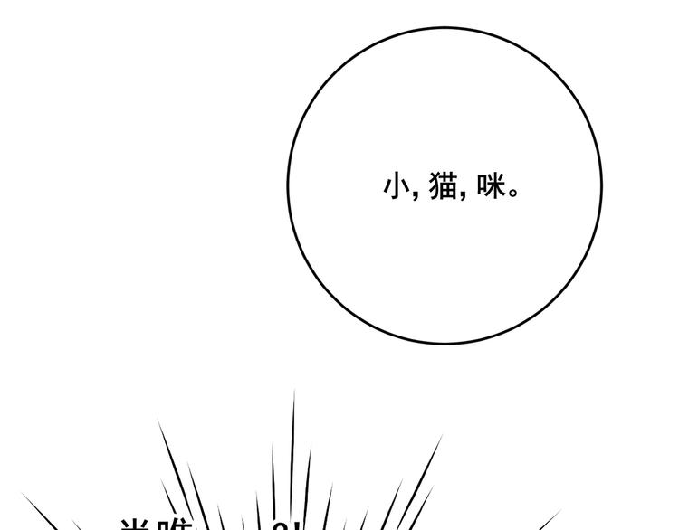 社会喵韩漫全集-第12话 怀中抱猫无删减无遮挡章节图片 