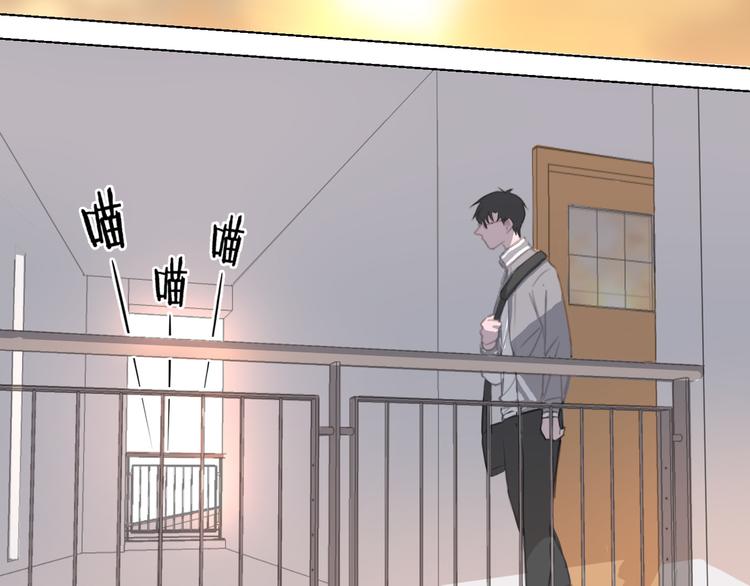 社会喵韩漫全集-第12话 怀中抱猫无删减无遮挡章节图片 