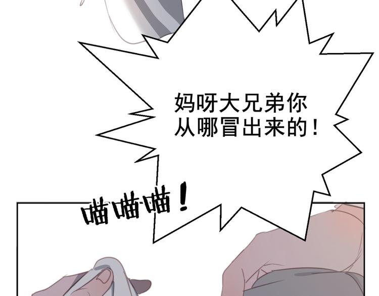 社会喵韩漫全集-第12话 怀中抱猫无删减无遮挡章节图片 