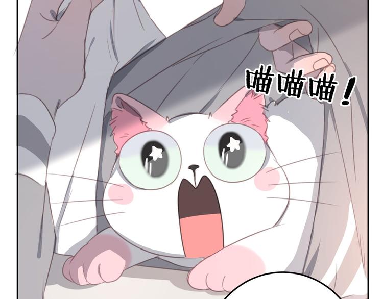 社会喵韩漫全集-第12话 怀中抱猫无删减无遮挡章节图片 