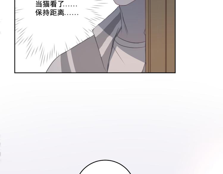 社会喵韩漫全集-第12话 怀中抱猫无删减无遮挡章节图片 