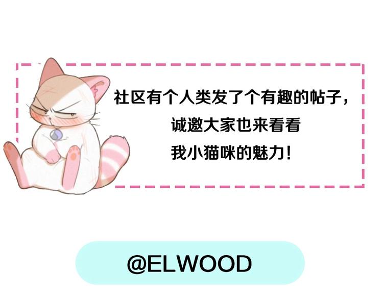 社会喵韩漫全集-迟到的七夕番外 超甜无删减无遮挡章节图片 