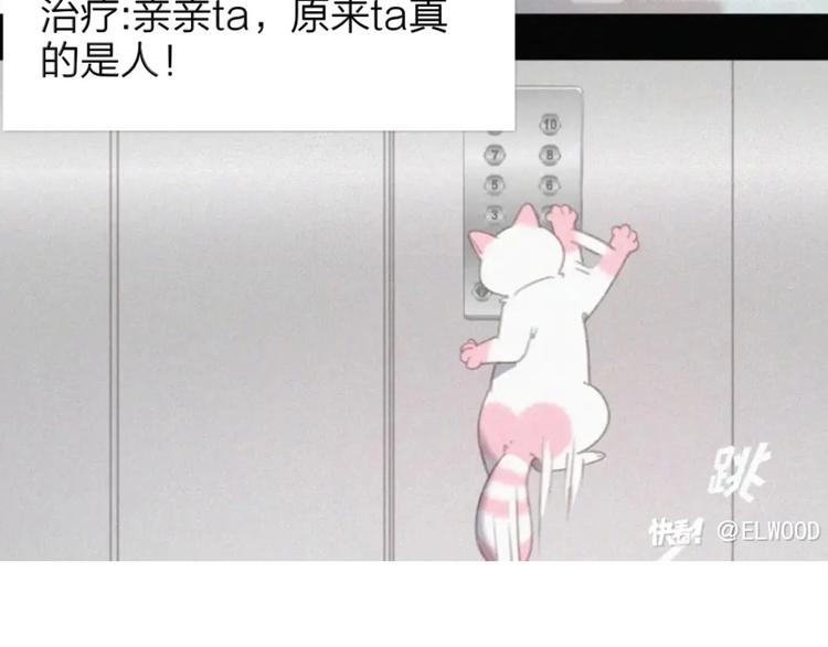 社会喵韩漫全集-迟到的七夕番外 超甜无删减无遮挡章节图片 