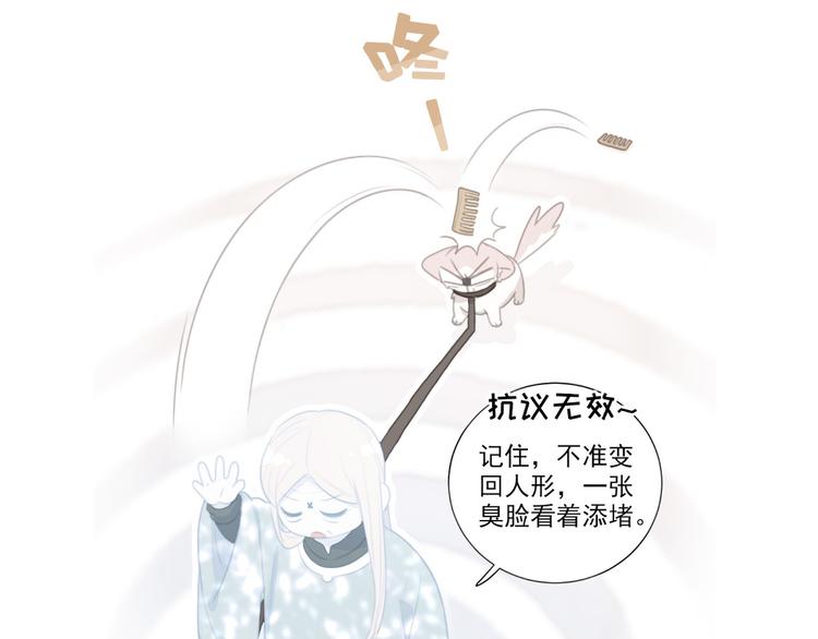 社会喵韩漫全集-第69话 小花永远不会离开无删减无遮挡章节图片 