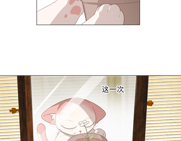 社会喵韩漫全集-第69话 小花永远不会离开无删减无遮挡章节图片 