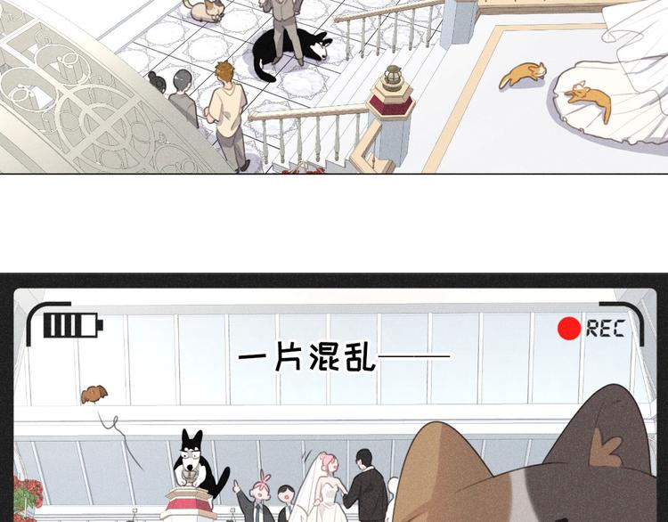 社会喵韩漫全集-完结篇 我们的故事无删减无遮挡章节图片 