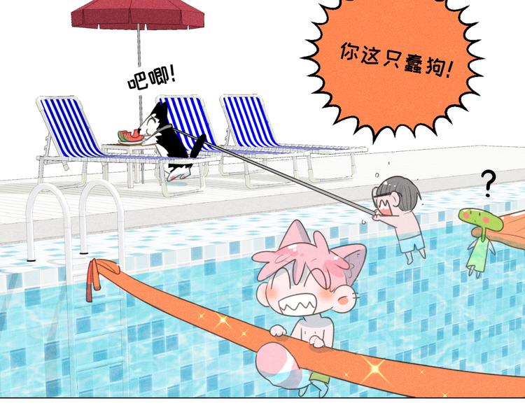 社会喵韩漫全集-番外二 一起游泳吧！无删减无遮挡章节图片 