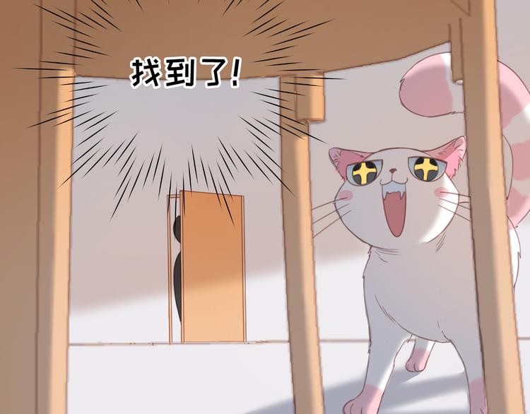 社会喵韩漫全集-第13话 猫主人何在！无删减无遮挡章节图片 