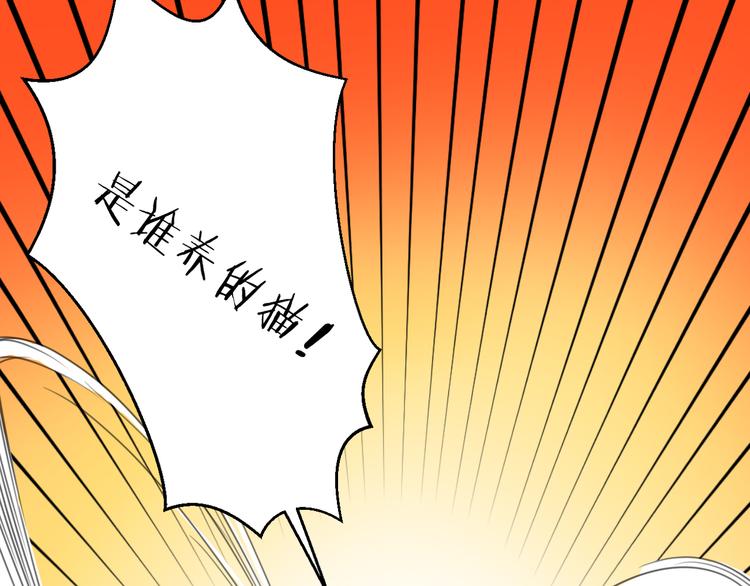社会喵韩漫全集-第13话 猫主人何在！无删减无遮挡章节图片 